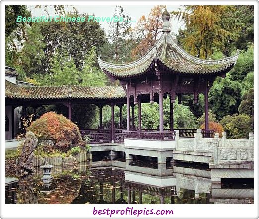 beautiful saying images